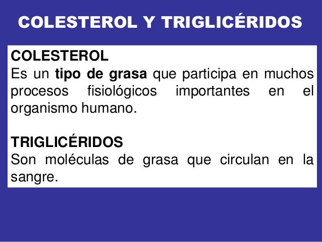 Colesterol y Triglicéridos
