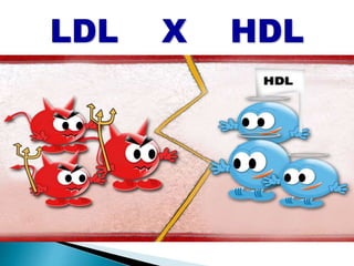 LDL X HDL
 