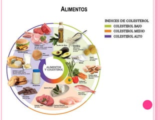 ALIMENTOS
 