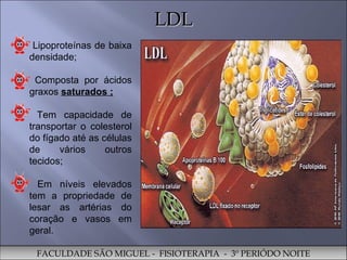 LDL FACULDADE SÃO MIGUEL -  FISIOTERAPIA  -  3º PERIÓDO NOITE Lipoproteínas de baixa densidade;  Composta por ácidos graxos  saturados ; Tem capacidade de transportar o colesterol do fígado até as células de vários outros tecidos; Em níveis elevados tem a propriedade de lesar as artérias do coração e vasos em geral.  
