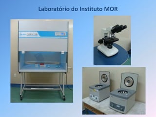 Laboratório do Instituto MOR
 