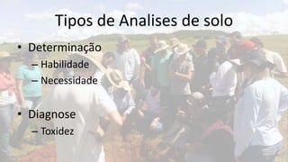 Tipos de Analises de solo
• Determinação
  – Habilidade
  – Necessidade


• Diagnose
  – Toxidez
 