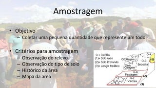 Amostragem
• Objetivo
   – Coletar uma pequena quantidade que represente um todo

• Critérios para amostragem
   –   Observação do relevo
   –   Observação do tipo de solo
   –   Histórico da área
   –   Mapa da area
 