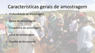 Características gerais de amostragem
• Profundidade de amostragem

• Época de amostragem

• Frequência da amostragem

• Local de amostragem

• Escolha de ferramenta
 