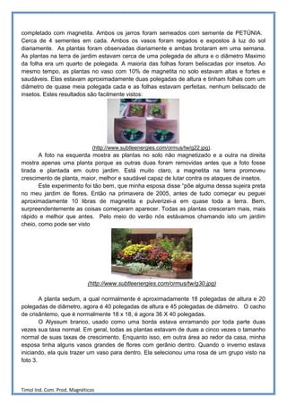 completado com magnetita. Ambos os jarros foram semeados com semente de PETÚNIA.
Cerca de 4 sementes em cada. Ambos os vasos foram regados e expostos à luz do sol
diariamente. As plantas foram observadas diariamente e ambas brotaram em uma semana.
As plantas na terra de jardim estavam cerca de uma polegada de altura e o diâmetro Maximo
da folha era um quarto de polegada. A maioria das folhas foram beliscadas por insetos. Ao
mesmo tempo, as plantas no vaso com 10% de magnetita no solo estavam altas e fortes e
saudáveis. Elas estavam aproximadamente duas polegadas de altura e tinham folhas com um
diâmetro de quase meia polegada cada e as folhas estavam perfeitas, nenhum beliscado de
insetos. Estes resultados são facilmente vistos:




                               (http://www.subtleenergies.com/ormus/tw/g22.jpg).
       A foto na esquerda mostra as plantas no solo não magnetizado e a outra na direita
mostra apenas uma planta porque as outras duas foram removidas antes que a foto fosse
tirada e plantada em outro jardim. Está muito claro, a magnetita na terra promoveu
crescimento de planta, maior, melhor e saudável capaz de lutar contra os ataques de insetos.
       Este experimento foi tão bem, que minha esposa disse “põe alguma dessa sujeira preta
no meu jardim de flores. Então na primavera de 2005, antes de tudo começar eu peguei
aproximadamente 10 libras de magnetita e pulverizei-a em quase toda a terra. Bem,
surpreendentemente as coisas começaram aparecer. Todas as plantas cresceram mais, mais
rápido e melhor que antes. Pelo meio do verão nós estávamos chamando isto um jardim
cheio, como pode ser visto




                             (http://www.subtleenergies.com/ormus/tw/g30.jpg)

        A planta sedum, a qual normalmente é aproximadamente 18 polegadas de altura e 20
polegadas de diâmetro, agora é 40 polegadas de altura e 45 polegadas de diâmetro. O cacho
de crisântemo, que é normalmente 18 x 18, é agora 36 X 40 polegadas.
        O Alyssum branco, usado como uma borda estava enramando por toda parte duas
vezes sua taxa normal. Em geral, todas as plantas estavam de duas a cinco vezes o tamanho
normal de suas taxas de crescimento. Enquanto isso, em outra área ao redor da casa, minha
esposa tinha alguns vasos grandes de flores com gerânio dentro. Quando o inverno estava
iniciando, ela quis trazer um vaso para dentro. Ela selecionou uma rosa de um grupo visto na
foto 3.




Timol Ind. Com. Prod. Magnéticos
 