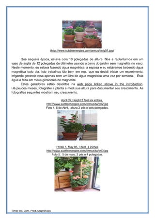 (http://www.subtleenergies.com/ormus/tw/g07.jpg)


       Que naquela época, estava com 10 polegadas de altura. Nós a replantamos em um
vaso de argila de 12 polegadas de diâmetro usando o barro do jardim sem magnetita no vaso.
Neste momento, eu estava fazendo água magnética, a esposa e eu estávamos bebendo água
magnética todo dia. Isto trabalhou tão bem em nós, que eu decidi iniciar um experimento,
irrigando gerando rosa apenas com um litro de água magnética uma vez por semana. Esta
água é feita em meus geradores de magnetita.
       Estes geradores estão descritos na web page linked above in the introduction.
Há poucos meses, fotografei a planta e medi sua altura para documentar seu crescimento. As
fotografias seguintes mostram seu crescimento.

                                        April 05, Height 2 feet six inches
                            http://www.subtleenergies.com/ormus/tw/g02.jpg
                            Foto 4. 5 de Abril, altura 2 pés e seis polegadas.




                                    Photo 5, May 05, 3 feet 4 inches
                            http://www.subtleenergies.com/ormus/tw/g03.jpg
                                Foto 5. 5 de maio, 3 pés e 4 polegadas.




Timol Ind. Com. Prod. Magnéticos
 