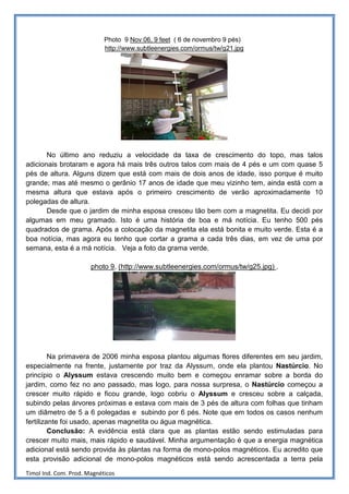 Photo 9 Nov 06, 9 feet ( 6 de novembro 9 pés)
                            http://www.subtleenergies.com/ormus/tw/g21.jpg




       No último ano reduziu a velocidade da taxa de crescimento do topo, mas talos
adicionais brotaram e agora há mais três outros talos com mais de 4 pés e um com quase 5
pés de altura. Alguns dizem que está com mais de dois anos de idade, isso porque é muito
grande; mas até mesmo o gerânio 17 anos de idade que meu vizinho tem, ainda está com a
mesma altura que estava após o primeiro crescimento de verão aproximadamente 10
polegadas de altura.
       Desde que o jardim de minha esposa cresceu tão bem com a magnetita. Eu decidi por
algumas em meu gramado. Isto é uma história de boa e má notícia. Eu tenho 500 pés
quadrados de grama. Após a colocação da magnetita ela está bonita e muito verde. Esta é a
boa notícia, mas agora eu tenho que cortar a grama a cada três dias, em vez de uma por
semana, esta é a má notícia. Veja a foto da grama verde.

                       photo 9, (http://www.subtleenergies.com/ormus/tw/g25.jpg) .




         Na primavera de 2006 minha esposa plantou algumas flores diferentes em seu jardim,
especialmente na frente, justamente por traz da Alyssum, onde ela plantou Nastúrcio. No
princípio o Alyssum estava crescendo muito bem e começou enramar sobre a borda do
jardim, como fez no ano passado, mas logo, para nossa surpresa, o Nastúrcio começou a
crescer muito rápido e ficou grande, logo cobriu o Alyssum e cresceu sobre a calçada,
subindo pelas árvores próximas e estava com mais de 3 pés de altura com folhas que tinham
um diâmetro de 5 a 6 polegadas e subindo por 6 pés. Note que em todos os casos nenhum
fertilizante foi usado, apenas magnetita ou água magnética.
         Conclusão: A evidência está clara que as plantas estão sendo estimuladas para
crescer muito mais, mais rápido e saudável. Minha argumentação é que a energia magnética
adicional está sendo provida às plantas na forma de mono-polos magnéticos. Eu acredito que
esta provisão adicional de mono-polos magnéticos está sendo acrescentada a terra pela
Timol Ind. Com. Prod. Magnéticos
 
