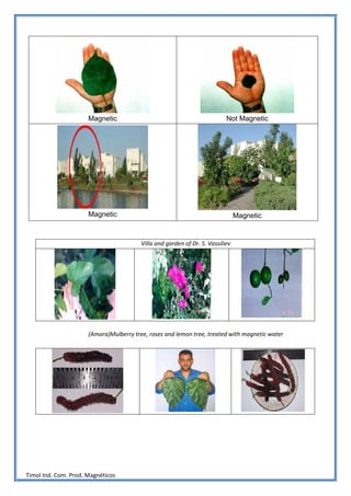 Magnetic                                             Not Magnetic




                      Magnetic                                                  Magnetic


                                         Villa and garden of Dr. S. Vassiliev




                      (Amora)Mulberry tree, roses and lemon tree, treated with magnetic water




Timol Ind. Com. Prod. Magnéticos
 