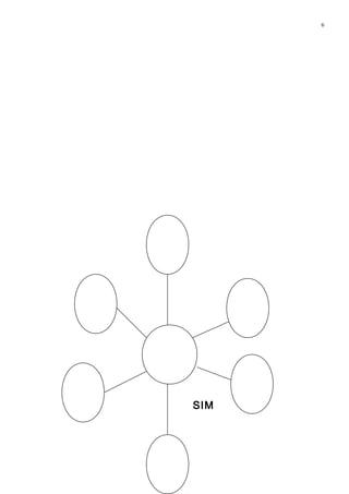 6
SIM
 