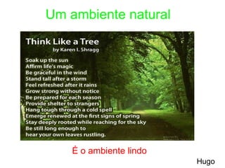Um ambiente natural É o ambiente lindo Hugo 