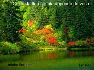 Cuide da floresta ela depende de voce minha floresta Larissa S. 