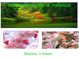 veja como e linda  a  natureza Stephany  e Isabela  