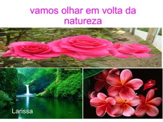 vamos olhar em volta da natureza Larissa 