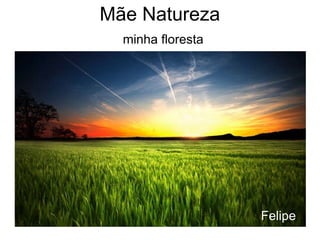 Mãe Natureza minha floresta Felipe 