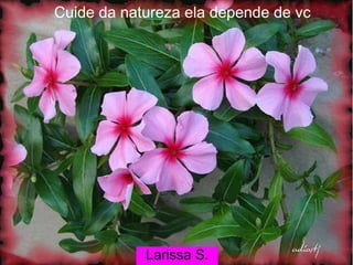 Cuide da natureza ela depende de vc Larissa S. 