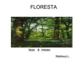 FLORESTA Isso   é  nosso   Matheus L. 