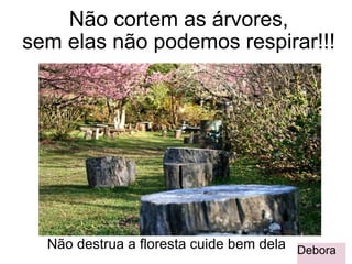 Não cortem as árvores, sem elas não podemos respirar!!!         Não destrua a floresta cuide bem dela Debora 