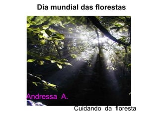 Dia mundial das florestas Cuidando  da  floresta Andressa  A. 