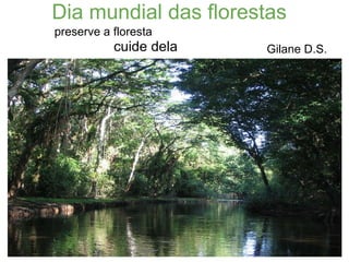 Dia mundial das florestas cuide dela  preserve a floresta Gilane D.S. 