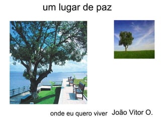 um lugar de paz onde eu quero viver João Vitor O. 