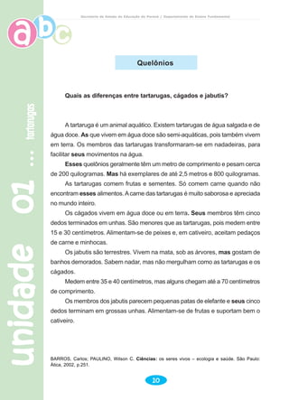 unidade01unidade01unidade01unidade01unidade01tartarugastartarugastartarugastartarugastartarugas
10
Secretaria de Estado da Educação do Paraná / Departamento de Ensino Fundamental
Quelônios
Quais as diferenças entre tartarugas, cágados e jabutis?
A tartaruga é um animal aquático. Existem tartarugas de água salgada e de
água doce. As que vivem em água doce são semi-aquáticas, pois também vivem
em terra. Os membros das tartarugas transformaram-se em nadadeiras, para
facilitar seus movimentos na água.
Esses quelônios geralmente têm um metro de comprimento e pesam cerca
de 200 quilogramas. Mas há exemplares de até 2,5 metros e 800 quilogramas.
As tartarugas comem frutas e sementes. Só comem carne quando não
encontram esses alimentos.Acarne das tartarugas é muito saborosa e apreciada
no mundo inteiro.
Os cágados vivem em água doce ou em terra. Seus membros têm cinco
dedos terminados em unhas. São menores que as tartarugas, pois medem entre
15 e 30 centímetros. Alimentam-se de peixes e, em cativeiro, aceitam pedaços
de carne e minhocas.
Os jabutis são terrestres. Vivem na mata, sob as árvores, mas gostam de
banhos demorados. Sabem nadar, mas não mergulham como as tartarugas e os
cágados.
Medem entre 35 e 40 centímetros, mas alguns chegam até a 70 centímetros
de comprimento.
Os membros dos jabutis parecem pequenas patas de elefante e seus cinco
dedos terminam em grossas unhas. Alimentam-se de frutas e suportam bem o
cativeiro.
BARROS, Carlos; PAULINO, Wilson C. Ciências: os seres vivos – ecologia e saúde. São Paulo:
Ática, 2002, p.251.
 
