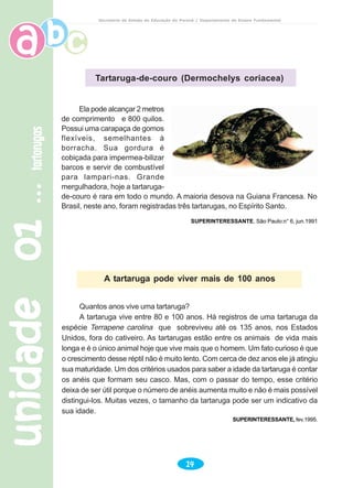 unidade01unidade01unidade01unidade01unidade01tartarugastartarugastartarugastartarugastartarugas
14
Secretaria de Estado da Educação do Paraná / Departamento de Ensino Fundamental
Quantos anos vive uma tartaruga?
A tartaruga vive entre 80 e 100 anos. Há registros de uma tartaruga da
espécie Terrapene carolina que sobreviveu até os 135 anos, nos Estados
Unidos, fora do cativeiro. As tartarugas estão entre os animais de vida mais
longa e é o único animal hoje que vive mais que o homem. Um fato curioso é que
o crescimento desse réptil não é muito lento. Com cerca de dez anos ele já atingiu
sua maturidade. Um dos critérios usados para saber a idade da tartaruga é contar
os anéis que formam seu casco. Mas, com o passar do tempo, esse critério
deixa de ser útil porque o número de anéis aumenta muito e não é mais possível
distingui-los. Muitas vezes, o tamanho da tartaruga pode ser um indicativo da
sua idade.
SUPERINTERESSANTE, fev.1995.
A tartaruga pode viver mais de 100 anos
Tartaruga-de-couro (Dermochelys coriacea)
Ela pode alcançar 2 metros
de comprimento e 800 quilos.
Possui uma carapaça de gomos
flexíveis, semelhantes à
borracha. Sua gordura é
cobiçada para impermea-bilizar
barcos e servir de combustível
para lampari-nas. Grande
mergulhadora, hoje a tartaruga-
de-couro é rara em todo o mundo. A maioria desova na Guiana Francesa. No
Brasil, neste ano, foram registradas três tartarugas, no Espírito Santo.
SUPERINTERESSANTE, São Paulo:n° 6, jun.1991
 
