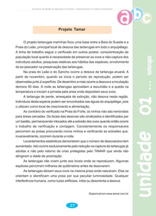 unidade01unidade01unidade01unidade01unidade01tartarugastartarugastartarugastartarugastartarugas
17
Secretaria de Estado da Educação do Paraná / Departamento de Ensino Fundamental
O projeto tartarugas marinhas fixou uma base entre a Baía do Sueste e a
Praia do Leão, principal local de desova das tartarugas em todo o arquipélago.
A linha de trabalho segue o verificado em outros postos: conscientização da
população local quanto à necessidade de preservar os ovos e não-captura dos
indivíduos adultos; pesquisas relativas aos hábitos das espécies; envolvimento
do ex-pescador na preservação das tartarugas.
Na praia do Leão e do Sancho ocorre a desova da tartaruga aruanã. A
partir de novembro, quando se inicia o período de reprodução, podem ser
observadas junto à superfície. De dezembro a maio ocorre a desova e a incubação
demora 50 dias. À noite as tartarugas aproveitam a escuridão e a queda na
temperatura e iniciam a jornada pela areia onde depositam seus ovos.
A tartaruga de pente, ameaçada de extinção, não desova nesta região.
Indivíduos desta espécie podem ser encontrados nas águas do arquipélago, pois
o utilizam como local de crescimento e alimentação.
Ao contrário do verificado na Praia do Forte, os ninhos não são removidos
para áreas cercadas. Os locais das desovas são sinalizados e identificados por
um bastão, permanecendo intocados até a eclosão dos ovos quando então ocorre
o trabalho de verificação e contagem. Constantemente os responsáveis
percorrem as praias procurando novos ninhos e verificando as eclosões que,
invariavelmente, ocorrem durante a noite.
Levantamentos estatísticos demonstram que o número de desovas/ano tem
aumentado. Isto ocorre exclusivamente pela redução na captura de tartarugas já
adultas e não pelo retorno de crias protegidas pelo TAMAR que ainda não
atingiram a idade de procriação.
As tartarugas não vivem junto aos locais onde se reproduzem. Algumas
espécies percorrem milhares de quilômetros antes de desovarem.
As tartarugas deixam seus ovos na mesma praia onde nasceram. Elas se
orientam e identificam uma praia por sua peculiar luminosidade. Qualquer
interferência humana, como luzes artificiais, inibe ou desorienta a desova.
Disponível em www.tamar.com.br
Projeto Tamar
 