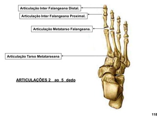 Articulação Tarso Metatarseana
Articulação Metatarso Falangeana.
Articulação Inter Falangeana Proximal.
Articulação Inter Falangeana Distal.
ARTICULAÇÕES 2 ao 5 dedo
118
 