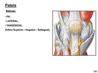 151
Patela
• PA;
• LATERAL;
• TANGENCIAL
(Ínfero Superior - Hugston - Settegast).
Básicas:
 