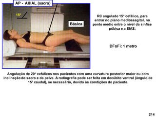 214
AP - AXIAL (sacro)
RC angulado 15 cefálico, para
entrar no plano mediossagital, no
ponto médio entre o nível da sínfise
púbica e a ElAS.
Angulação de 20 cefálicos nos pacientes com uma curvatura posterior maior ou com
inclinação do sacro e da pelve. A radiografia pode ser feita em decúbito ventral (ângulo de
15 caudal), se necessário, devido às condições do paciente.
DFoFi: 1 metro
15
Básica
 