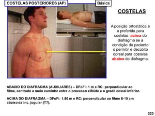 223
COSTELAS
COSTELAS POSTERIORES (AP)
A posição ortostática é
a preferida para
costelas acima do
diafragma se a
condição do paciente
o permitir e decúbito
dorsal para costelas
abaixo do diafragma.
ABAIXO DO DIAFRAGMA (AUXILIARES) – DFoFi: 1 m e RC: perpendicular ao
filme, centrado a meio caminho entre o processo xifóide e o gradil costal inferior.
ACIMA DO DIAFRAGMA – DFoFi: 1.80 m e RC: perpendicular ao filme 8-10 cm
abaixo da inc. jugular (T7).
Básica
 