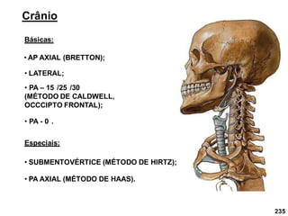 235
Crânio
Básicas:
• AP AXIAL (BRETTON);
• LATERAL;
Especiais:
• SUBMENTOVÉRTICE (MÉTODO DE HIRTZ);
• PA – 15 /25 /30
(MÉTODO DE CALDWELL,
OCCCIPTO FRONTAL);
• PA - 0 .
• PA AXIAL (MÉTODO DE HAAS).
 
