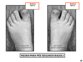 REGRAPARA PÉS SEGUNDO BIAZOLI
26
 