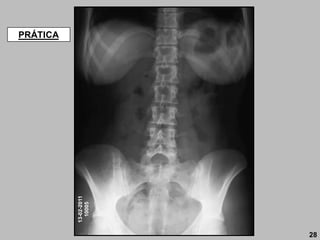 13-02-2011
10005
PRÁTICA
28
 