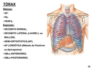 TÓRAX
Básicas:
• AP;
• PA;
• PERFIL.
Especiais:
• DECÚBITO DORSAL;
• DECÚBITO LATERAL (LAURELL ou
MULLER);
• SEMI-ORTOSTÁTICA (AP);
• AP LORDÓTICA (Método de Fleishner
ou Apicograma);
• OBLs ANTERIORES;
• OBLs POSTERIORES.
38
 