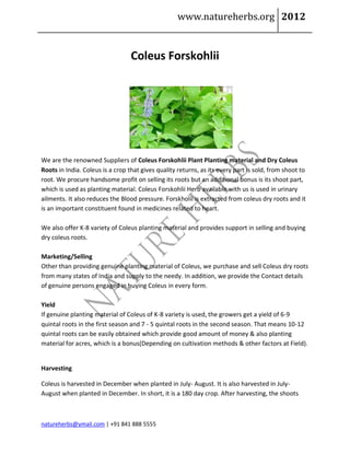 www.natureherbs.org 2012


                                  Coleus Forskohlii




We are the renowned Suppliers of Coleus Forskohlii Plant Planting material and Dry Coleus
Roots in India. Coleus is a crop that gives quality returns, as its every part is sold, from shoot to
root. We procure handsome profit on selling its roots but an additional bonus is its shoot part,
which is used as planting material. Coleus Forskohlii Herb available with us is used in urinary
ailments. It also reduces the Blood pressure. Forskholii is extracted from coleus dry roots and it
is an important constituent found in medicines related to heart.

We also offer K-8 variety of Coleus planting material and provides support in selling and buying
dry coleus roots.

Marketing/Selling
Other than providing genuine planting material of Coleus, we purchase and sell Coleus dry roots
from many states of India and supply to the needy. In addition, we provide the Contact details
of genuine persons engaged in buying Coleus in every form.

Yield
If genuine planting material of Coleus of K-8 variety is used, the growers get a yield of 6-9
quintal roots in the first season and 7 - 5 quintal roots in the second season. That means 10-12
quintal roots can be easily obtained which provide good amount of money & also planting
material for acres, which is a bonus(Depending on cultivation methods & other factors at Field).


Harvesting

Coleus is harvested in December when planted in July- August. It is also harvested in July-
August when planted in December. In short, it is a 180 day crop. After harvesting, the shoots



natureherbs@ymail.com | +91 841 888 5555
 