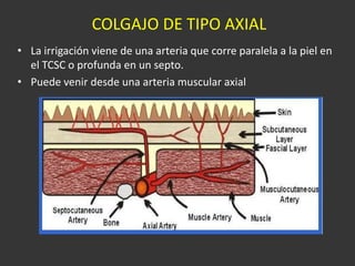 COLGAJO DE TIPO AXIAL La irrigación viene de una arteria que corre paralela a la piel en el TCSC o profunda en un septo. Puede venir desde una arteria muscular axial 