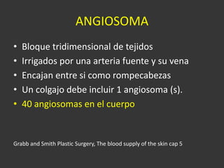 ANGIOSOMA Bloque tridimensional de tejidos Irrigados por una arteria fuente y su vena Encajan entre si como rompecabezas Un colgajo debe incluir 1 angiosoma (s). 40 angiosomas en el cuerpo Grabb and Smith Plastic Surgery, The blood supply of the skin cap 5 