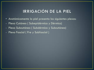 • Anatómicamente la piel presenta los siguientes plexos:
- Plexo Cutáneo ( Subepidérmico y Dérmico)
- Plexo Subcutáneo ( Subdérmico y Subcutáneo)
- Plexo Fascial ( Pre y Subfascial )
 