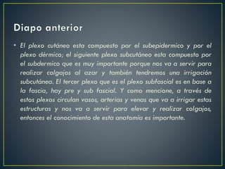 • El plexo cutáneo esta compuesto por el subepidermico y por el
plexo dérmico; el siguiente plexo subcutáneo esta compuesto por
el subdermico que es muy importante porque nos va a servir para
realizar colgajos al azar y también tendremos una irrigación
subcutánea. El tercer plexo que es el plexo subfascial es en base a
la fascia, hay pre y sub fascial. Y como mencione, a través de
estos plexos circulan vasos, arterias y venas que va a irrigar estas
estructuras y nos va a servir para elevar y realizar colgajos,
entonces el conocimiento de esta anatomía es importante.
 