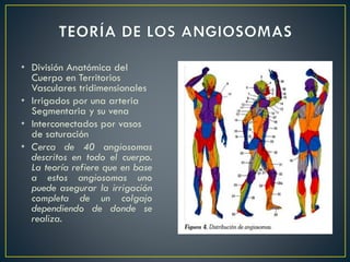 • División Anatómica del
Cuerpo en Territorios
Vasculares tridimensionales
• Irrigados por una arteria
Segmentaria y su vena
• Interconectados por vasos
de saturación
• Cerca de 40 angiosomas
descritos en todo el cuerpo.
La teoría refiere que en base
a estos angiosomas uno
puede asegurar la irrigación
completa de un colgajo
dependiendo de donde se
realiza.
 