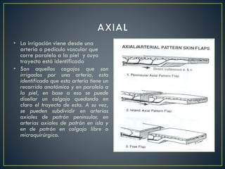 • La irrigación viene desde una
arteria o pedículo vascular que
corre paralelo a la piel y cuyo
trayecto está identificado
• Son aquellos cogajos que son
irrigados por una arteria, esta
identificado que esta arteria tiene un
recorrido anatómico y en paralelo a
la piel, en base a eso se puede
diseñar un colgajo quedando en
claro el trayecto de esta. A su vez,
se pueden subdividir en arterias
axiales de patrón peninsular, en
arterias axiales de patrón en isla y
en de patrón en colgajo libre o
microquirúrgico.
 