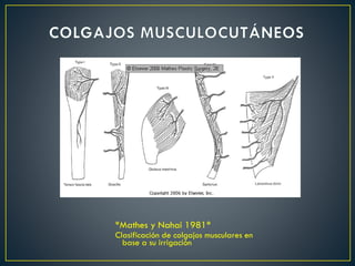 *Mathes y Nahai 1981*
Clasificación de colgajos musculares en
base a su irrigación
 