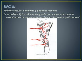 TIPO II:
Pedículo vascular dominante y pedículos menores
Es un pediculo típico del musculo gracilis que se usa mucho para la
reconstrucción de región de la cara interna del muslo y genitoperineal
.
 