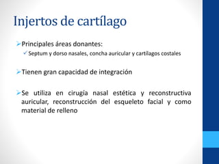 Injertos de cartílago
Principales áreas donantes:
Septum y dorso nasales, concha auricular y cartílagos costales
Tienen gran capacidad de integración
Se utiliza en cirugía nasal estética y reconstructiva
auricular, reconstrucción del esqueleto facial y como
material de relleno
 