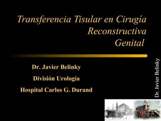 Transferencia Tisular en Cirugía
Reconstructiva
Genital
Dr. Javier Belinky
División Urología
Hospital Carlos G. Durand
 