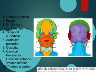 1. Cabeza y cuello.
2. Facial.
3. Oftálmica y
carótida interna.
4. Temporal
superficial.
5. Auricular
posterior.
6. Occipital.
7. Cervical
transversa.
8. Cervical profunda.
9.Tiroidea inferior.
10.Tiroidea superior.
 