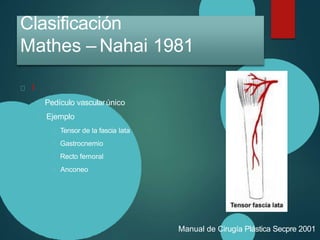 Clasificación
Mathes – Nahai 1981
I
Pedículo vascularúnico
Ejemplo
Tensor de la fascia lata
Gastrocnemio
Recto femoral
Anconeo
Manual de Cirugía Plástica Secpre 2001
 