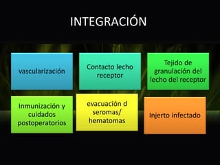 INTEGRACIÓN
 