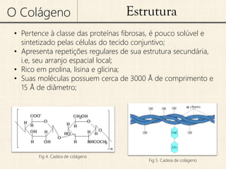 Colágeno | PDF